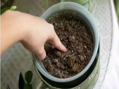 油煙機(jī)流出的廢油，一滴也別倒掉！解決了許多家庭大煩惱！